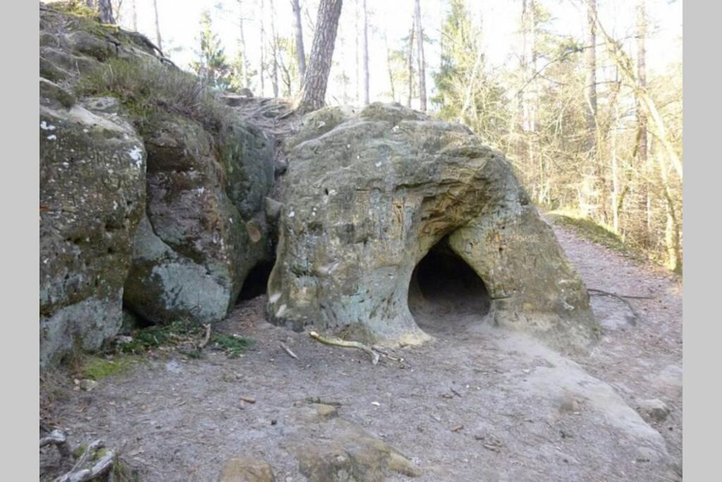 Le Repaire Des Herissons Vallee De Rabais Virton Eksteriør bilde