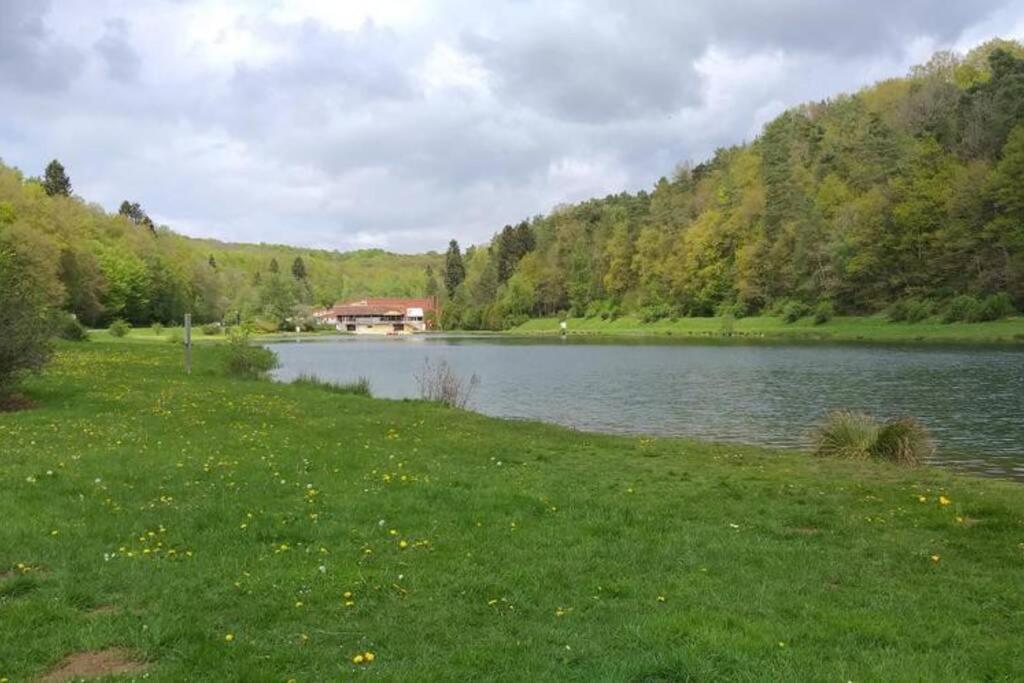Le Repaire Des Herissons Vallee De Rabais Virton Eksteriør bilde